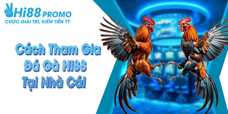đá gà hi88 Hướng dẫn cách thức tham gia cá cược tại sân chơi cá cược uy tín Hi88