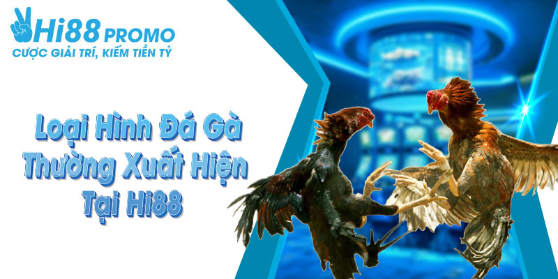 Đá Gà Hi88 Những hình thức đá gà trực tuyến thường xuyên xuất hiện tại sân chơi Hi88