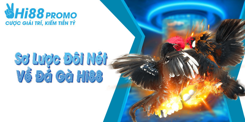 đá gà Hi88 Một vài nét cơ bản về sảnh cược đá gà Hi88