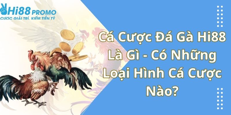 Cá Cược Đá Gà Hi88 Là Gì - Có Những Loại Hình Cá Cược Nào? 1 cá cược đá gà Hi88 là gì