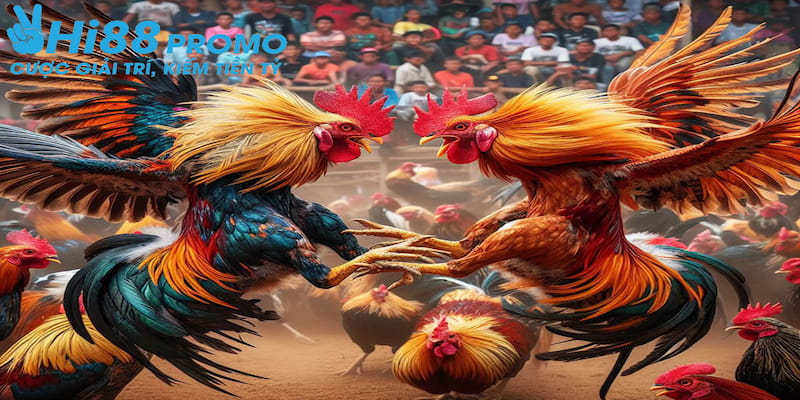 Cá cược đá gà Hi88 là gì Có đa dạng loại hình các cược để anh em hội viên có thể thoả sức trải nghiệm tùy vào nhu cầu của mình.