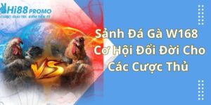 Sảnh Đá Gà W168 - Cơ Hội Đổi Đời Cho Các Cược Thủ 3 đá gà W168