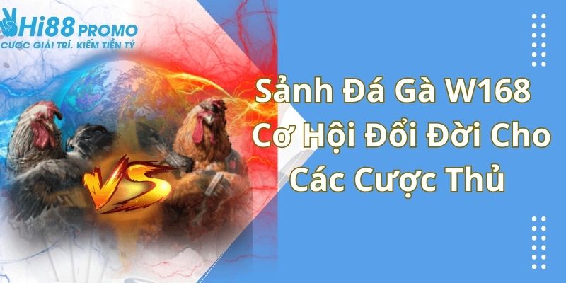 Sảnh Đá Gà W168 - Cơ Hội Đổi Đời Cho Các Cược Thủ 6 đá gà W168